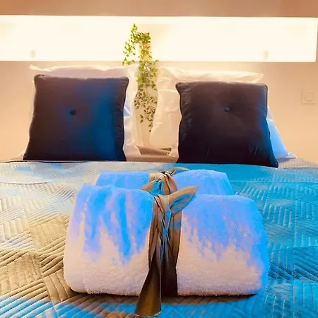 Apartment Le « cosy » Centre Historique Clim/parking *